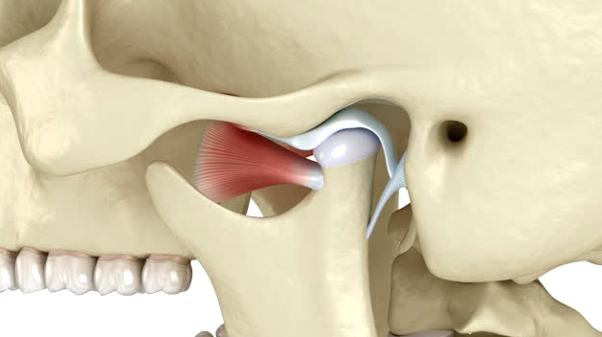 Sistema ATM y Articulación Temporomandibular
